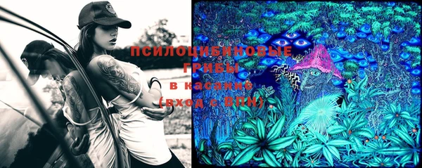 стафф Заволжск