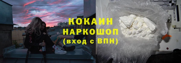 хмурый Осинники