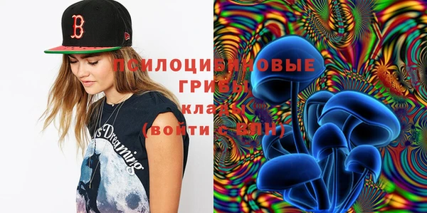трава Заводоуковск