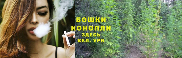 трава Заводоуковск