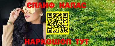 МДПВ Краснознаменск