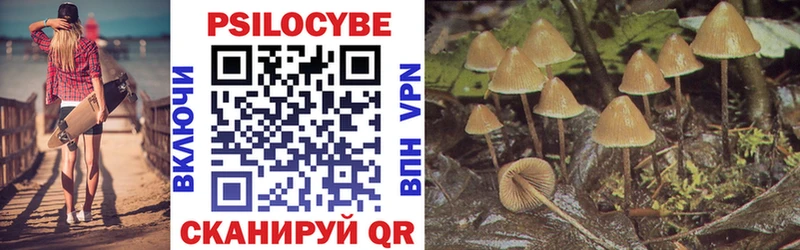 Галлюциногенные грибы Psilocybine cubensis  Избербаш 