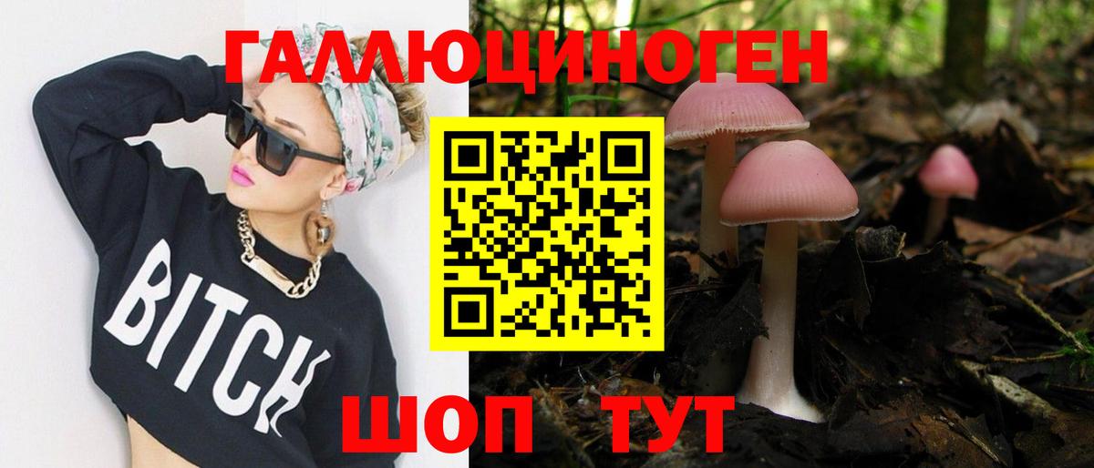 Псилоцибиновые грибы Cubensis Избербаш